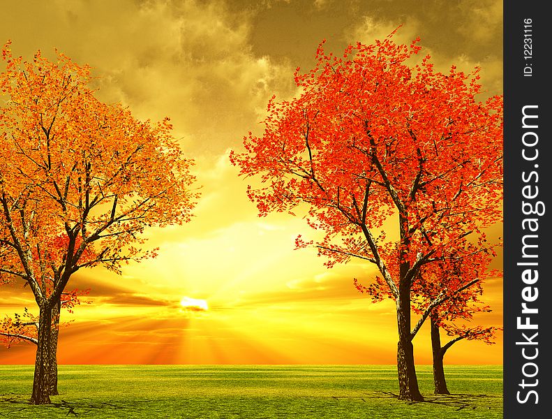 Autumn scenery with trees in the sunset