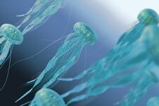 3d Rendering, The Jellyfish In Blue Ocean Background Royalty Free Stock Photos