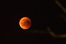 Blood Moon In The Sky. Total Eclipse Of The Moon. Royalty Free Stock Photography