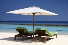 Wooden Seats, Palm Trees And Pacific Ocean In Luxury Maldives Re Royalty Free Stock Photos Wooden Seats, Palm Trees And Pacific Ocean In Luxury Maldives Re Royalty Free Stock Photos