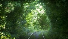 Beautiful Tunnel Over Railroad Tracks From Green Tree Branches Royalty Free Stock Photos