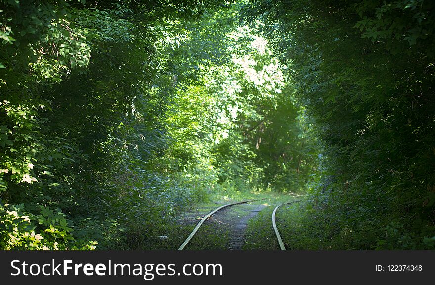 Beautiful tunnel over railroad tracks from green tree branches