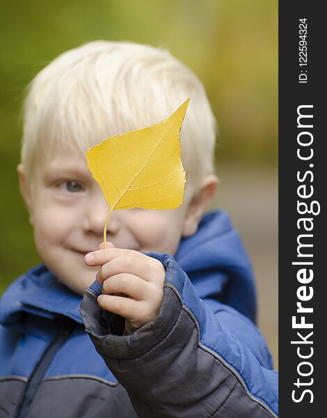 Blond boy holds a yellow leaf in front of him. Portrait.