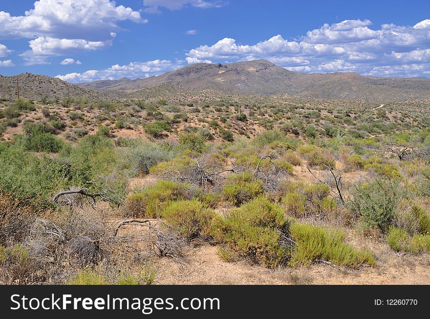 The Arizona Desert outside of Phoenix