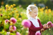 Cute Little Girl Playing In Blossoming Dahlia Field. Child Picking Fresh Flowers In Dahlia Meadow On Sunny Summer Day. Royalty Free Stock Photography
