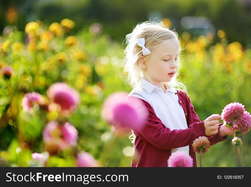 Cute little girl playing in blossoming dahlia field. Child picking fresh flowers in dahlia meadow on sunny summer day. Kid choosing flowers for her mother.