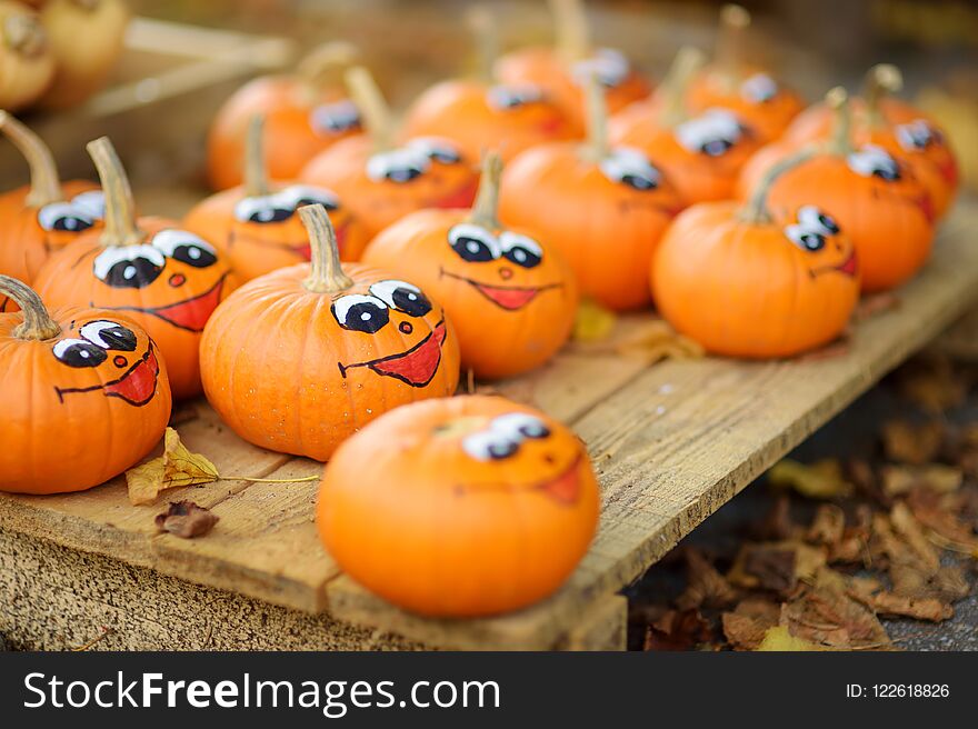 Decorative orange pumpkins on display at the farmers market in Germany. Orange ornamental pumpkins in sunlight