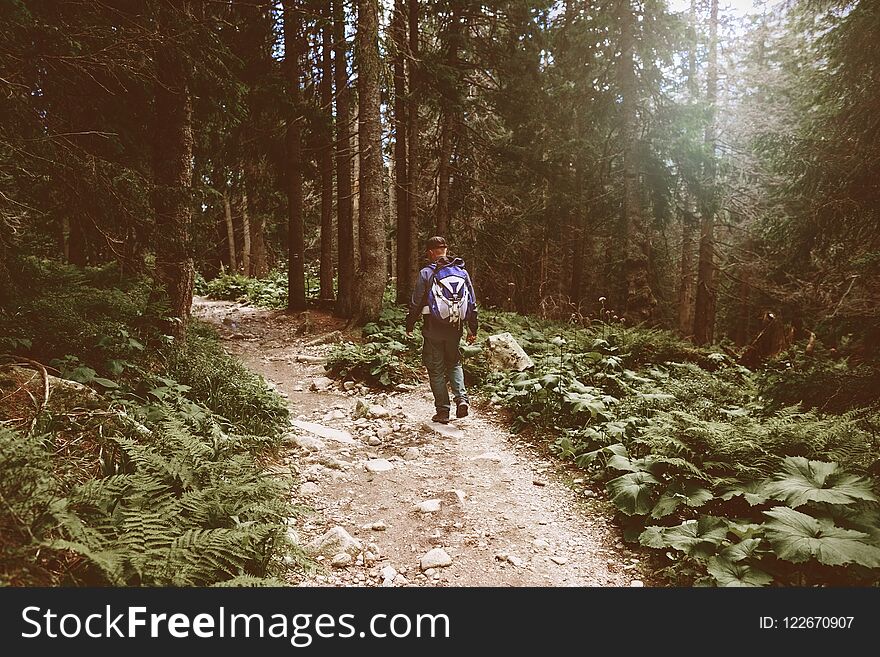 Male traveler with backpack walking dense forest. Travel and backpacking lifestyle concept. Male traveler with backpack walking dense forest. Travel and backpacking lifestyle concept