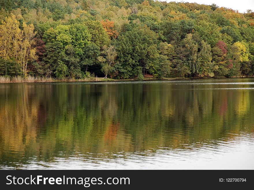 Reflection, Water, Nature, Lake