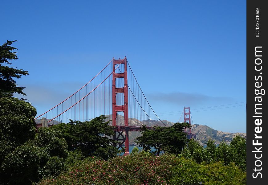 Bridge, Landmark, Sky, Tree