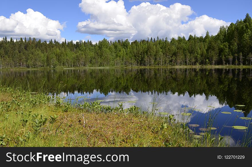 Nature Reserve, Lake, Reflection, Ecosystem