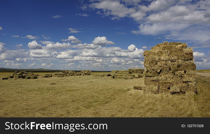 Grassland, Ecosystem, Sky, Hay