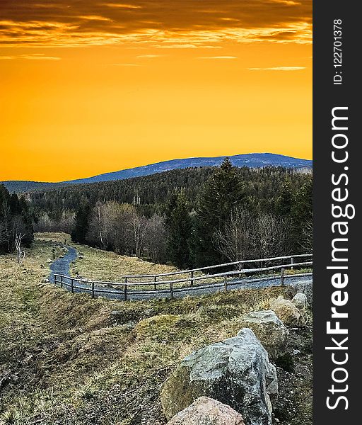 Sky, Nature, Wilderness, Tree