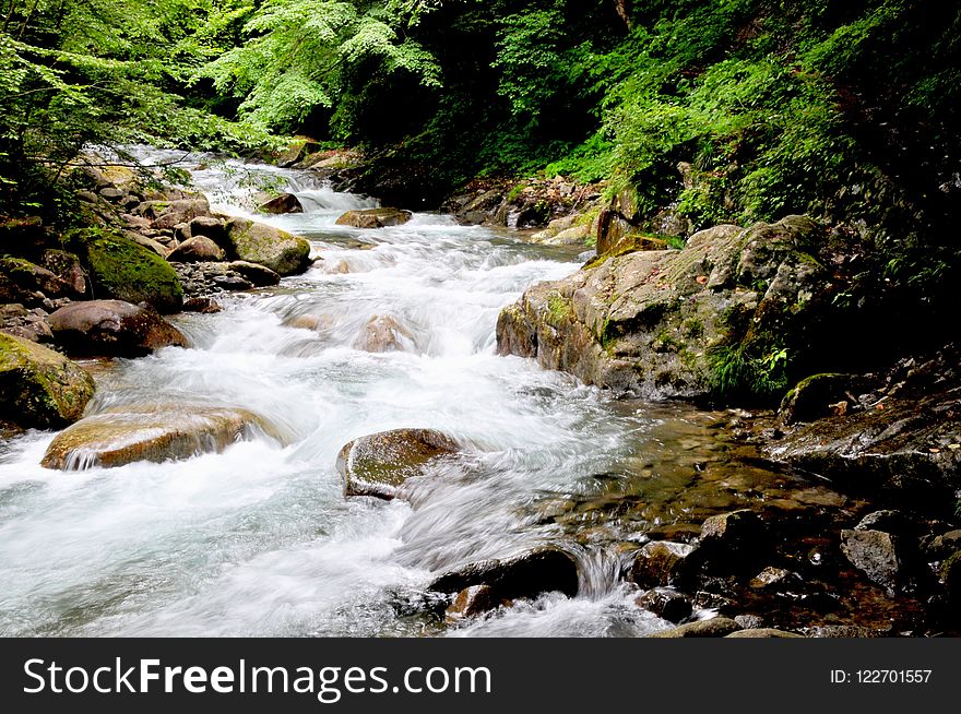 Stream, Water, Nature, Watercourse