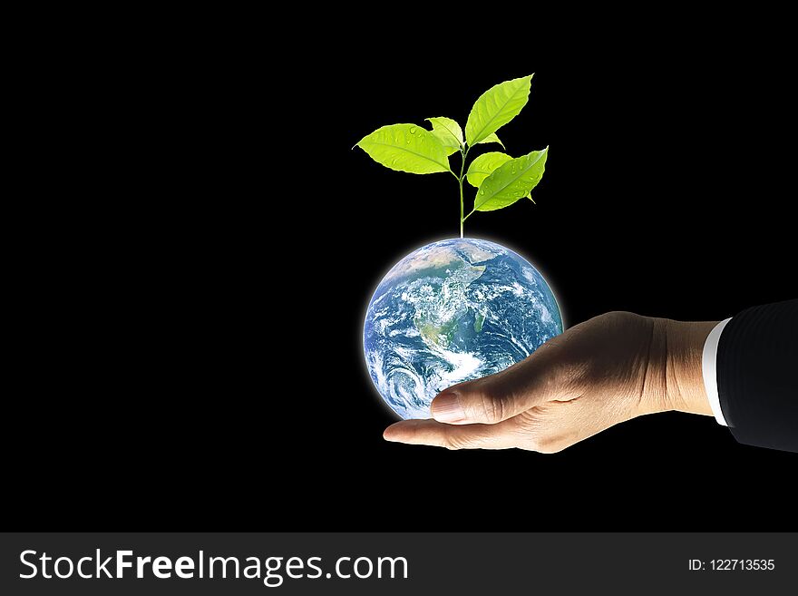 Hand hold earth with strong growth freshness tree isolated on black background with clipping path. Earth image furnished by NASA. Hand hold earth with strong growth freshness tree isolated on black background with clipping path. Earth image furnished by NASA.