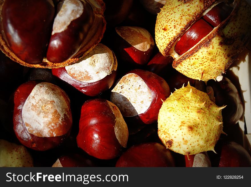 Chestnut, Food, Nut, Nuts & Seeds