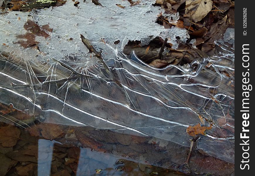 Water, Geology, Wood, Bedrock