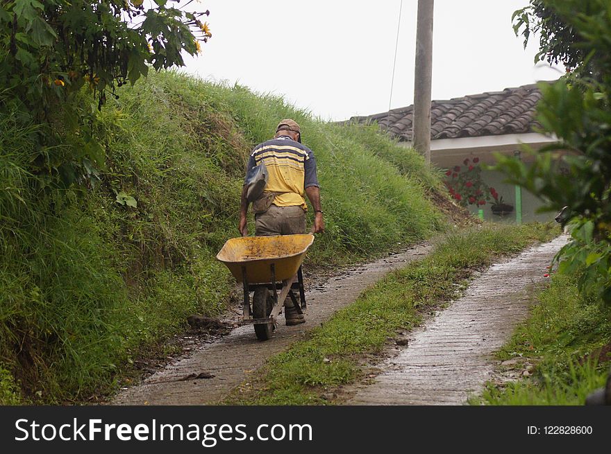 Path, Road, Yellow, Transport