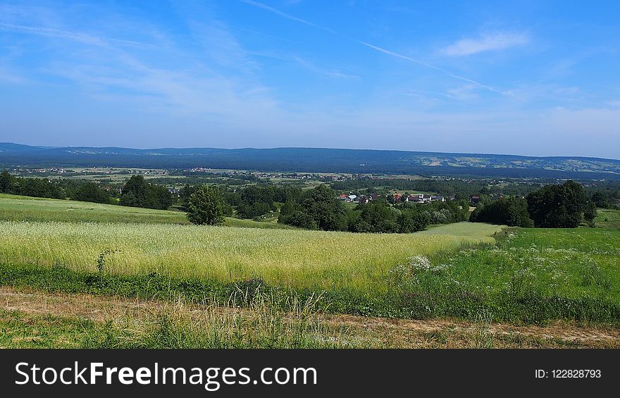 Grassland, Sky, Ecosystem, Field