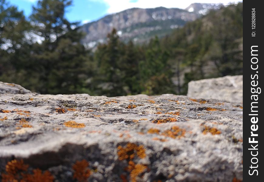 Rock, Geological Phenomenon, Tree, Mountain