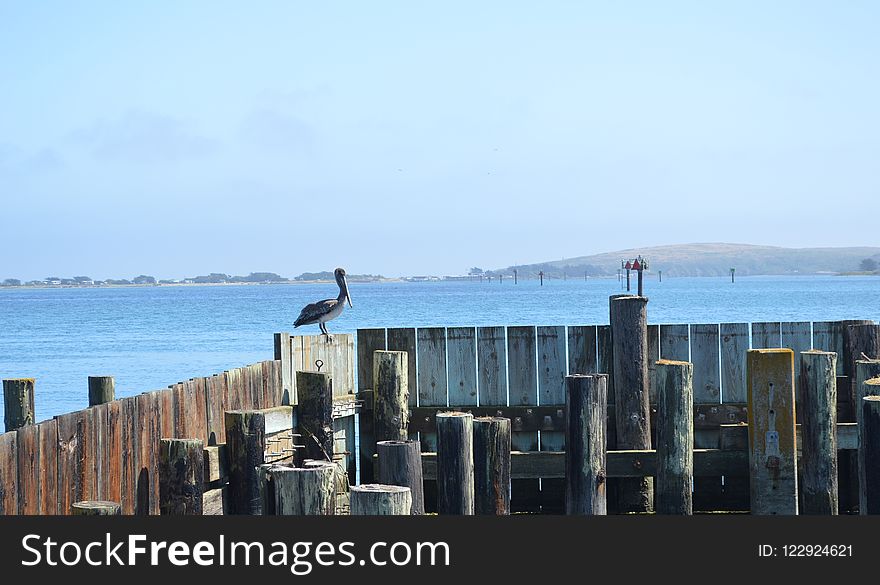 Sea, Body Of Water, Pier, Ocean