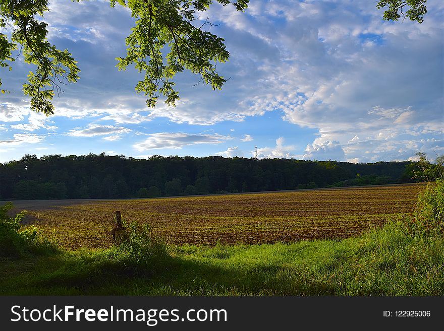 Sky, Grassland, Nature, Field