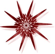 Crimson Floral Star Dark Stock Photo Crimson Floral Star Dark Stock Photo