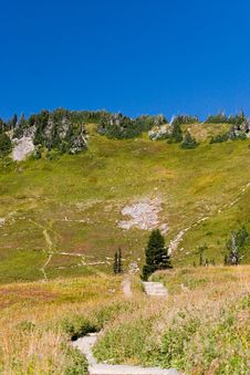 Hiking Trail In Mt. Rainier National Park Royalty Free Stock Images Hiking Trail In Mt. Rainier National Park Royalty Free Stock Images
