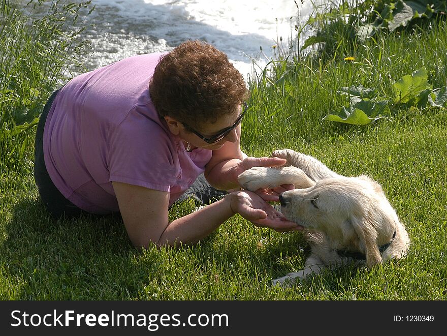 Playing with my golden retriever in the park close to the river. Playing with my golden retriever in the park close to the river