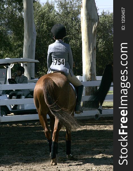 Young rider on horse - looking facing away