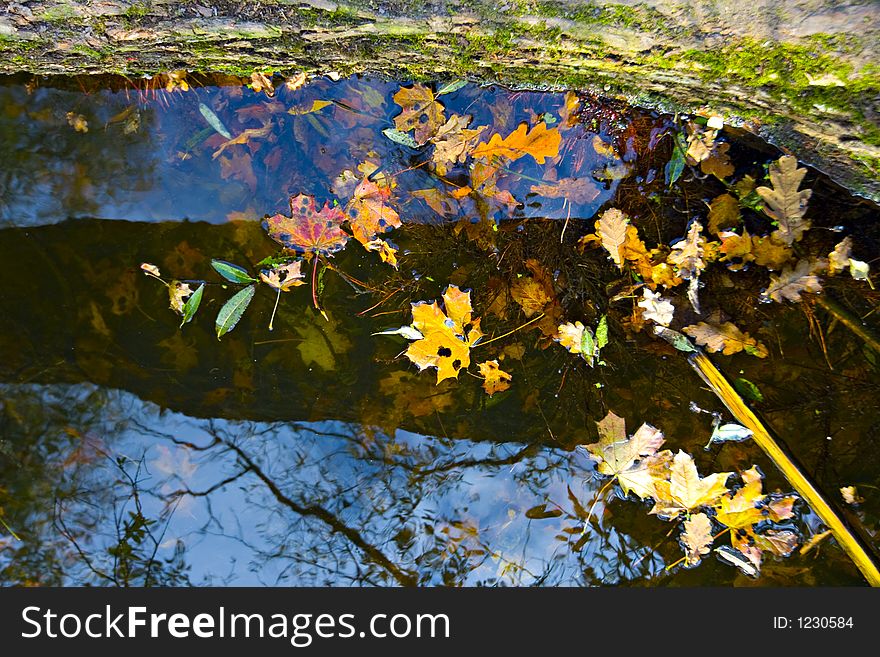 Landscape. Autumn reflection in water