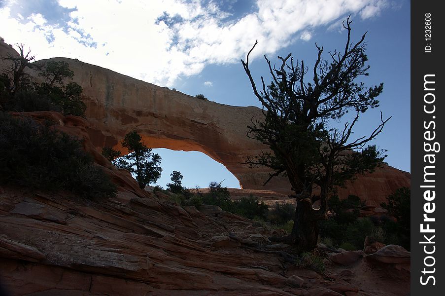 Arch Way in Utah by Moab