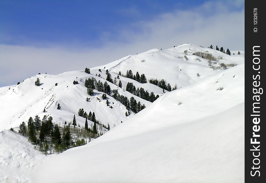 Snow covered mountain peaks in the winter with trees and blue sky. Snow covered mountain peaks in the winter with trees and blue sky