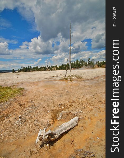 Geyser in Yellowstone National Park. Geyser in Yellowstone National Park