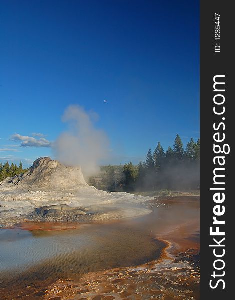 Yellowstone Geyser