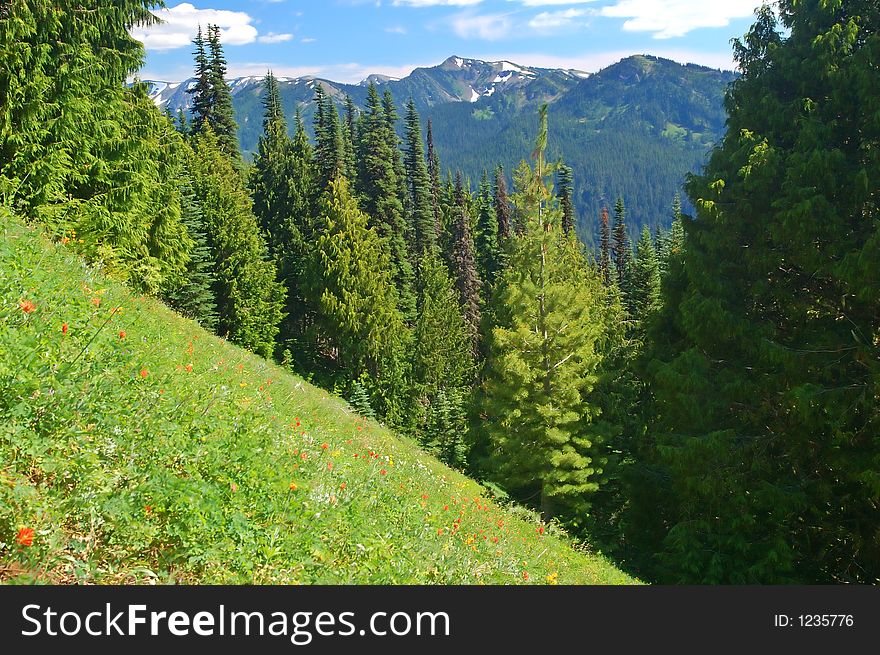 Classic mountain landscape in Olympic National Park in Washington State