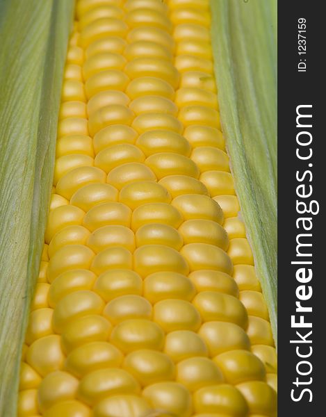 Close up shot of fresh corn on the cob