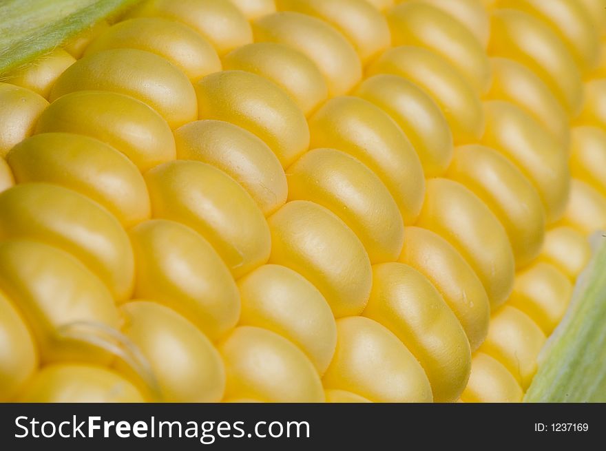 Close up shot of fresh corn on the cob