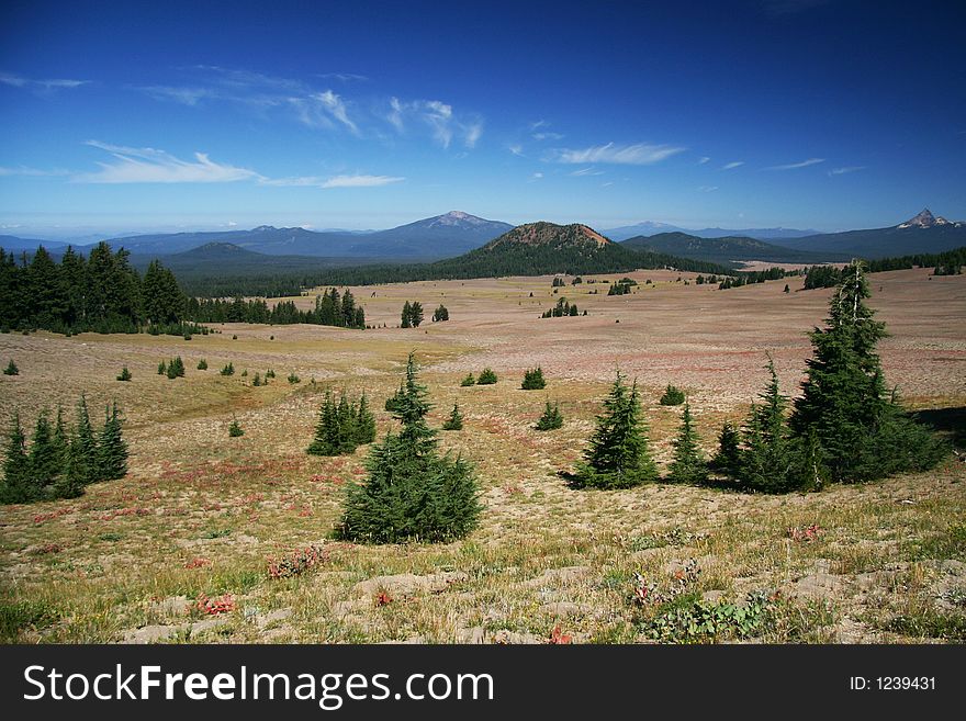 Grassland leads to mountains in distance.  Crater Lake National Park