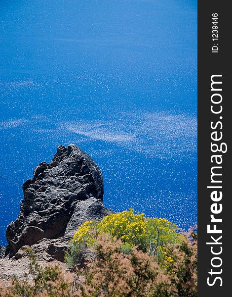 Blue sky, blue lake, and yellow flowers at Crater Lake National Park