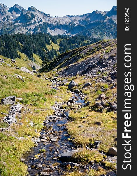 Stream of glacier melt along the hiking trail of Mt. Rainier.  Trees, grass and mountains in distance