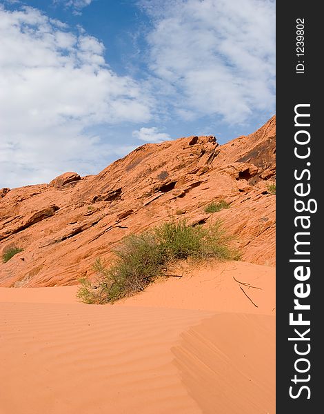 Sand dune in Nevada desert