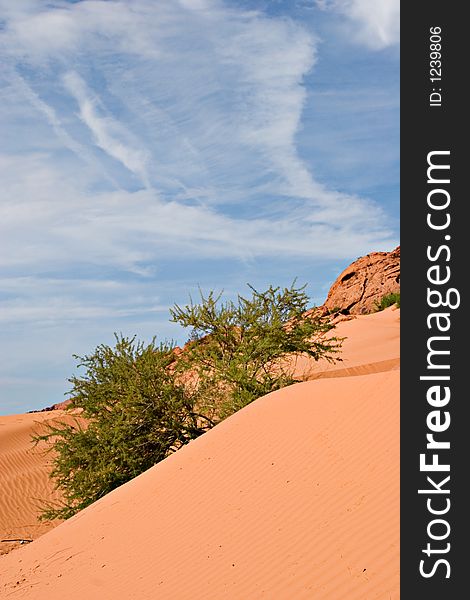 Sand dune in Nevada desert