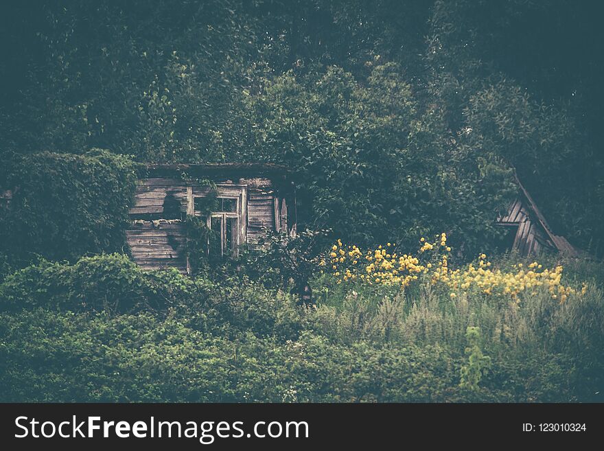 Old Rotten Damaged By Fire Wooden Cottage