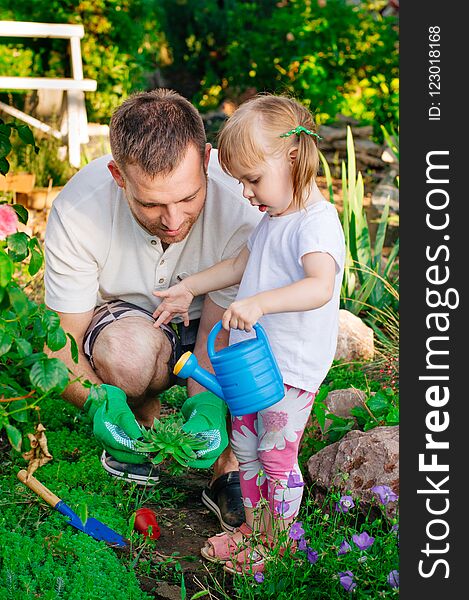 Family outdoor activity concept. Little girl with her father watering succulent planting in the garden. Family outdoor activity concept. Little girl with her father watering succulent planting in the garden.