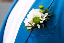 Groom In Blue Checkered Suit Royalty Free Stock Images