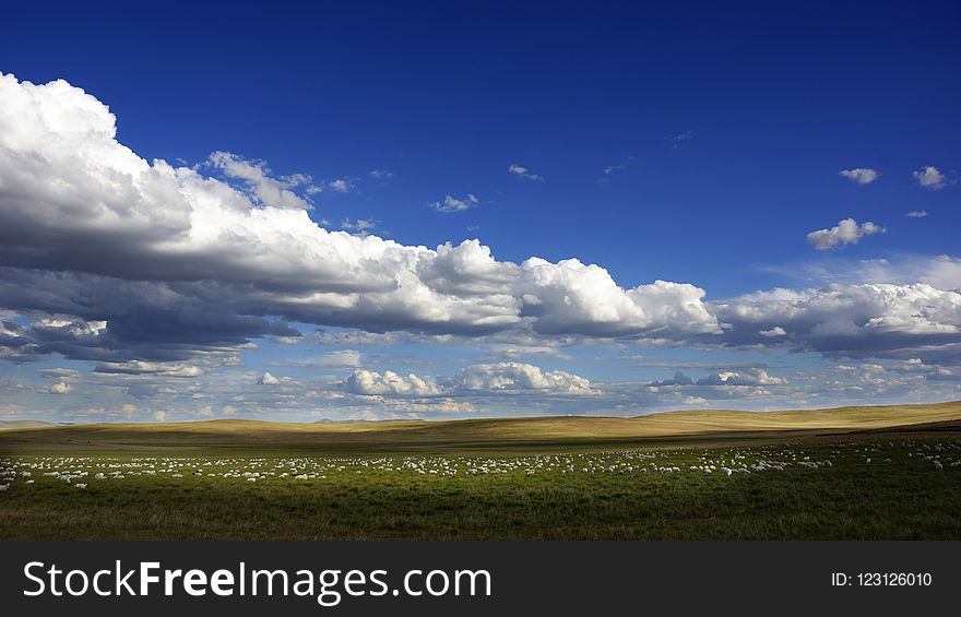 Sky, Grassland, Cloud, Ecosystem