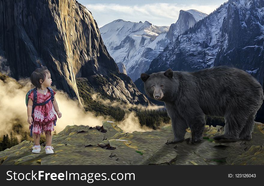 Wilderness, Mountain, Grizzly Bear, Bear