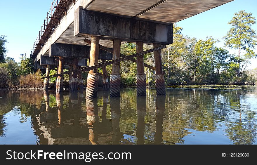 Reflection, Water, Tree, Bayou
