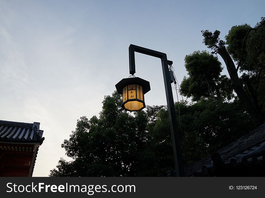 Sky, Street Light, Light Fixture, Tree